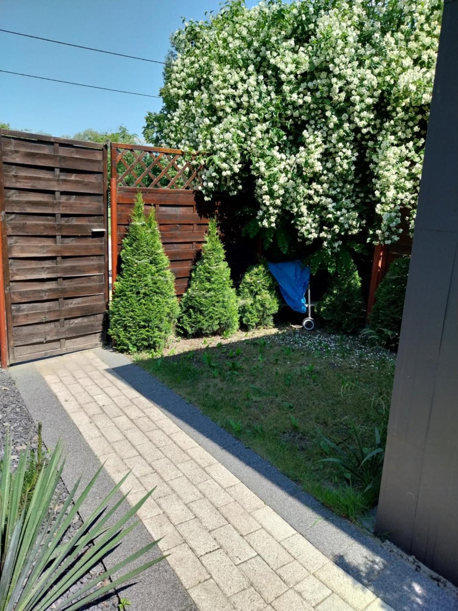 Apartament Antonio 3 グダニスク 部屋 写真